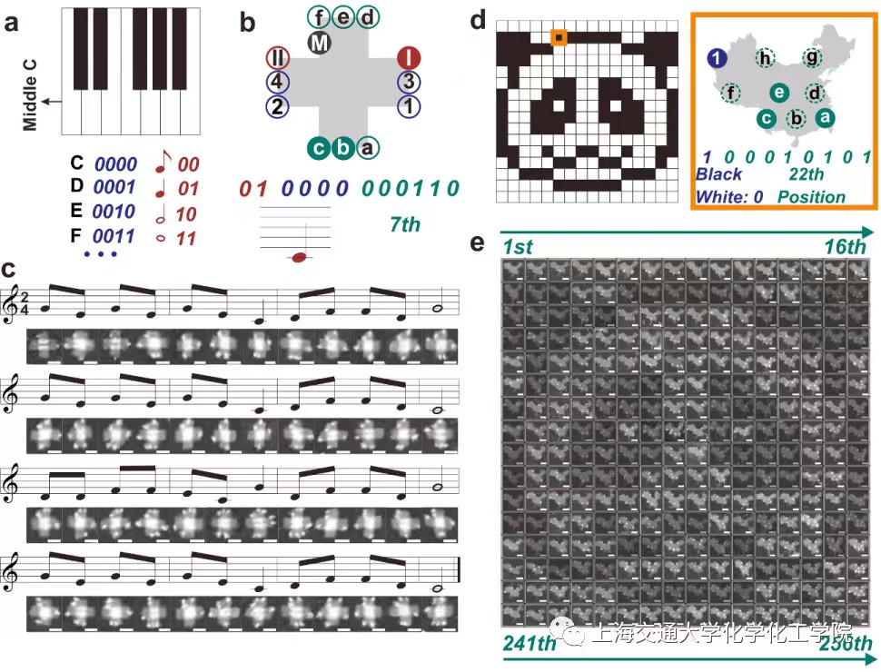 1634870453296259.jpg C.jpg