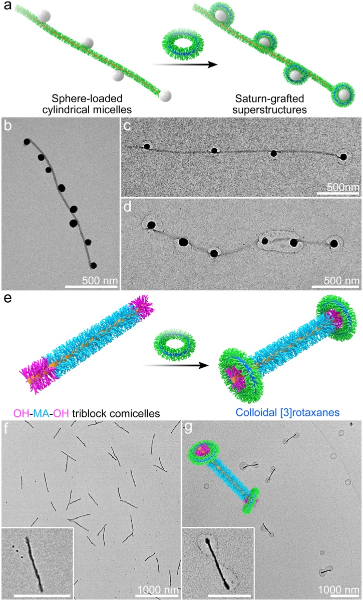 1648379091428252.png Picture 5.png
