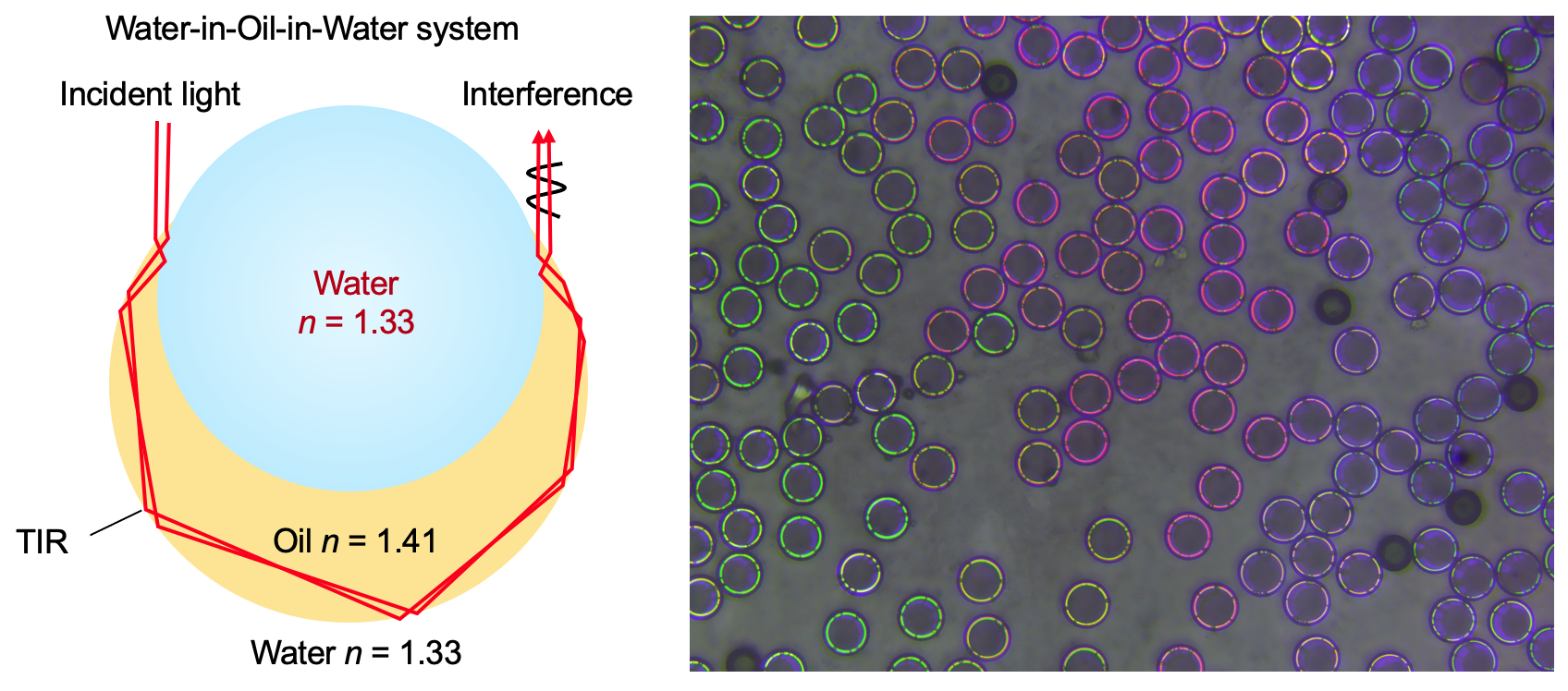 1749205343745521.png Screen Shot 2025-06-06 at 18.21.34.png