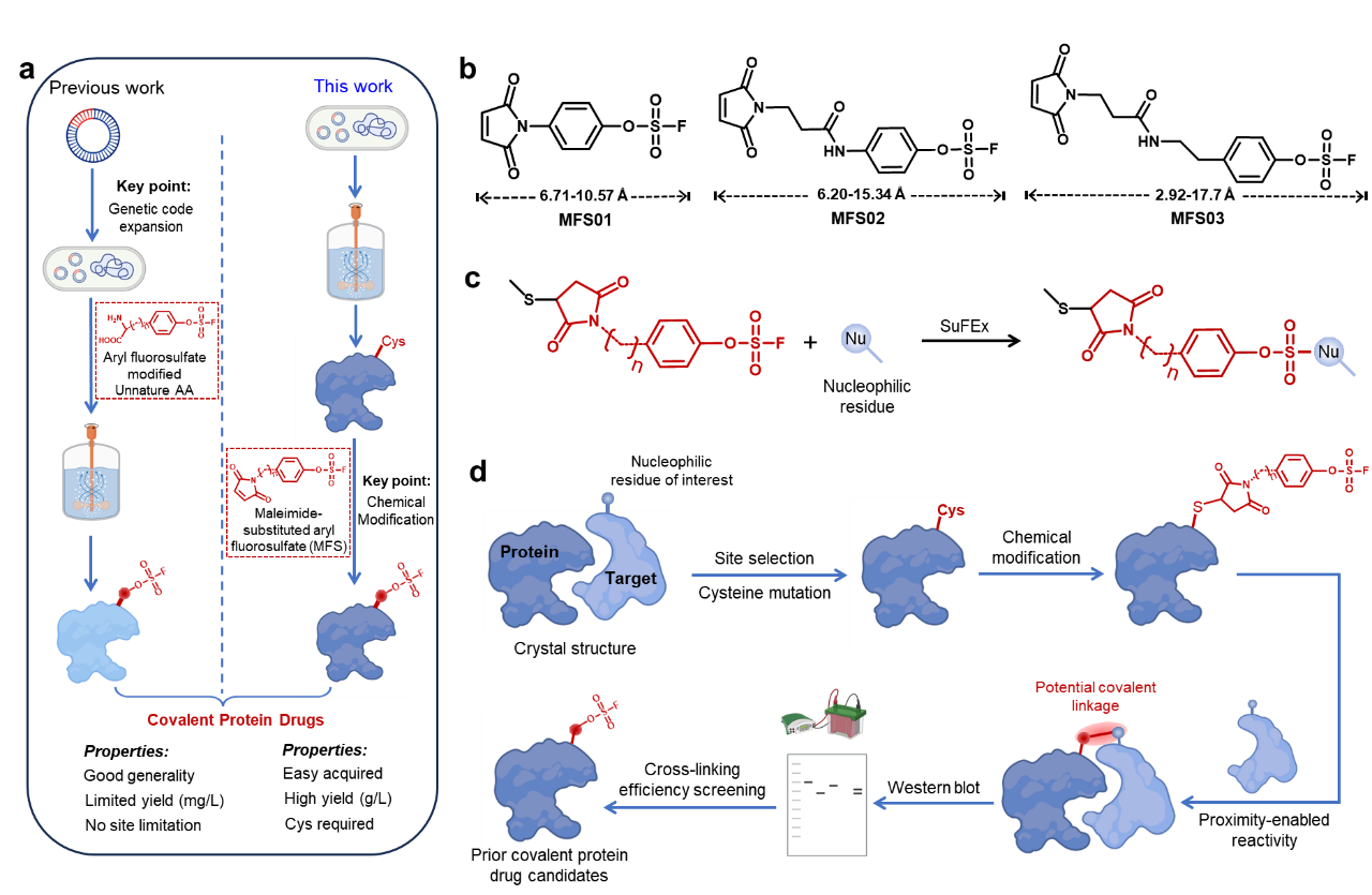 1749449948127639.png 图片10.png