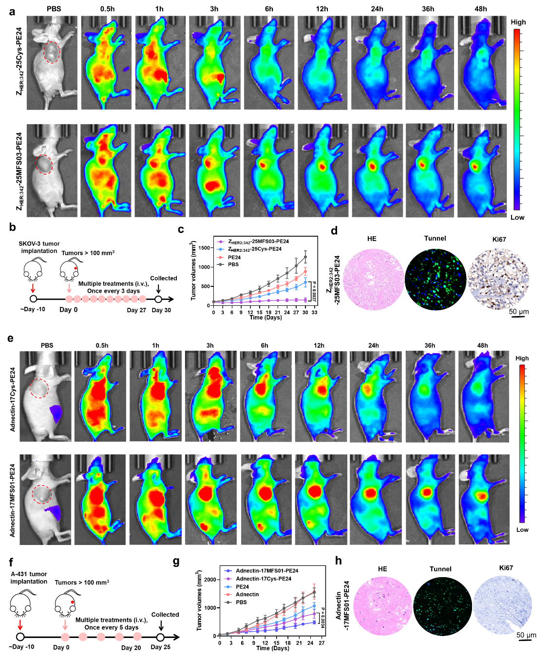 1749450026976665.png 图片12.png