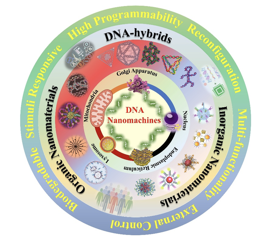 1752284334663645.png 1752284334663645.png